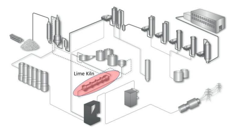 Pulp Energy Pulp and Paper energy opportunities activity - BTG